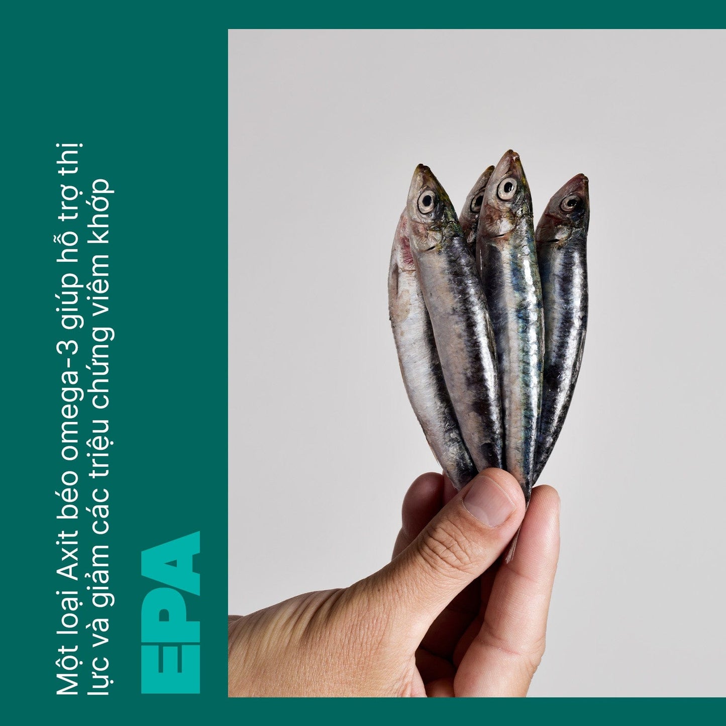 Viên uống dầu cá Swisse Ultiboost Odourless Wild Fish Oil