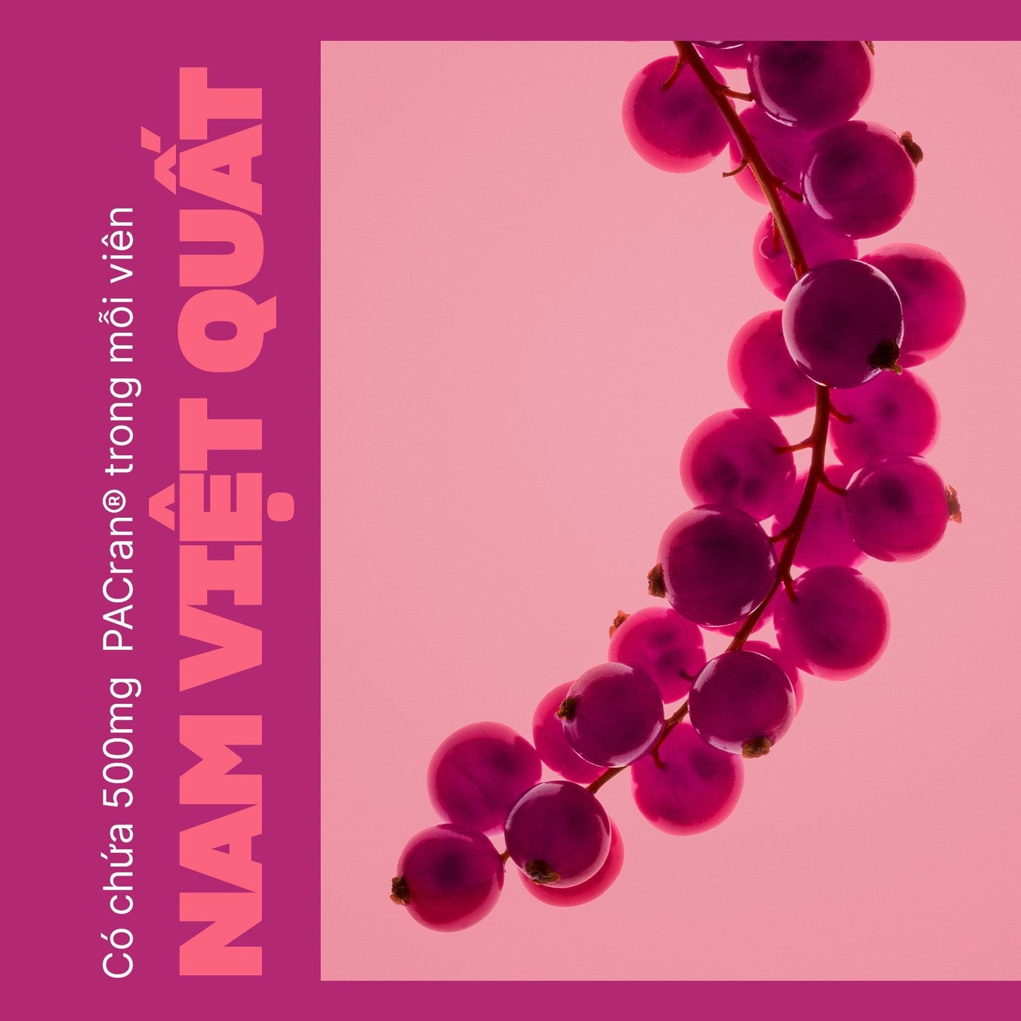 Viên uống hỗ trợ đường tiết niệu Swisse Ultiboost High Strength Cranberry